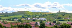 obraz małej wioski na zielonym polu w obiekcie ZELENÝ SKLEP w mieście Dolní Dunajovice