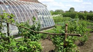 Ein Garten an der Unterkunft B&B De Hulst