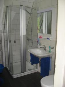 a bathroom with a shower and a sink and a toilet at Haus Gimpel Flumserberg in Flumserberg