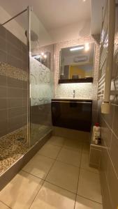 アゲにあるBel appartement vue merのバスルーム(シャワー、シンク、鏡付)