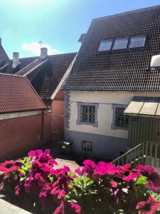 Imagen de la galería de Kuninga Holiday Apartment, en Pärnu