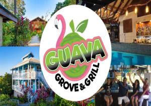 Certifikát, ocenenie alebo iný dokument vystavený v ubytovaní Guava Grove Resort & Villas