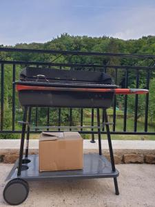 a black grill with a box on a table at Le chant des hiboux in Haraucourt