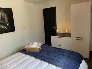 sypialnia z łóżkiem z niebieską kołdrą w obiekcie Joli appartement hyper-centre w mieście Alençon +4 zdjęcia