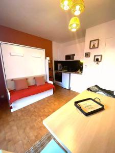 Televízia a/alebo spoločenská miestnosť v ubytovaní Studio vue mer. Calme et idéalement situé