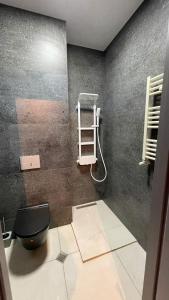 een badkamer met een toilet en een plank aan de muur bij Villa Residence Apartment in Tbilisi City