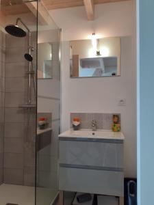 La salle de bains est pourvue d'un lavabo et d'une douche. dans l'établissement studio lumineux dans la coulée verte à Saint gilles croix de vie, à Saint-Gilles-Croix-de-Vie