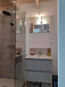 a bathroom with a sink and a shower at studio lumineux dans la coulée verte à Saint gilles croix de vie in Saint-Gilles-Croix-de-Vie