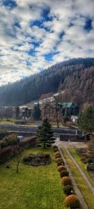 シュツァブニツァにあるMoje Pieniny Apartamentの草木の並ぶ庭