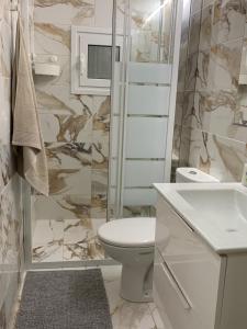 ein Bad mit einem WC, einem Waschbecken und einer Dusche in der Unterkunft Marina Alkamenous apartment in Athen