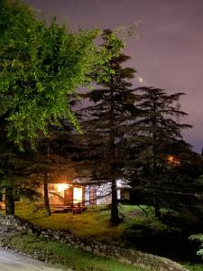 uma casa com uma árvore em frente à noite em Icho Cruz - Tala Huasi Pinares em Villa Icho Cruz