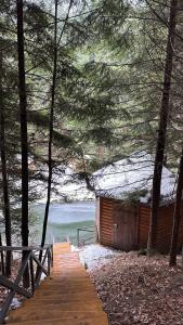 a wooden path leading to a cabin with a snow covered roof at Forest House in Migovo