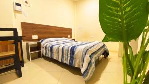 1 dormitorio con cama y planta en Monkstel Puebla, en Momoxpan