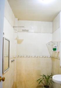 y baño con ducha y lavamanos. en Monkstel Puebla, en Momoxpan