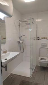 ein Bad mit einer Dusche, einem Waschbecken und einem WC in der Unterkunft Apartma Stela in Terme Čatež in Čatež ob Savi