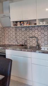 eine Küche mit einer Spüle und einer Arbeitsplatte in der Unterkunft Apartma Stela in Terme Čatež in Čatež ob Savi