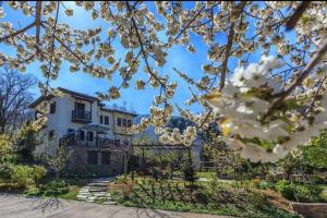 a house in the spring with white flowers at Pelion Maisonette in Tsagarada