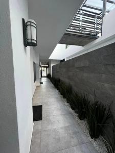 Madison Suites في Cuauhtémoc: مدخل مبنى به طريق مشي