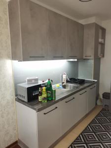 NOVAK 1 apartman في Vrnjačka Banja: مطبخ مع حوض وميكروويف