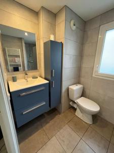 a bathroom with a toilet and a sink and a mirror at Joli T2 dans Annecy in Annecy