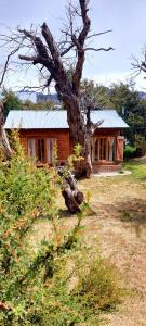 una pequeña casa con un árbol delante en Loicas en El Chaltén - Cabaña en El Chaltén