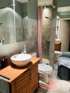 a bathroom with a sink and a toilet and a shower at La Corneille en Mer in Ostend