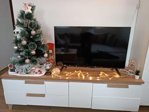 TV tai viihdekeskus majoituspaikassa Apartman Meseceva dolina