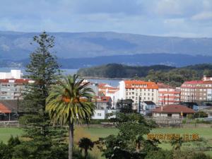 a city with a palm tree in the foreground at Berdullas in Vilagarcia de Arousa