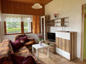 a living room with a couch and a tv at Holiday home Seeblick, Schoenberg in Schönberg