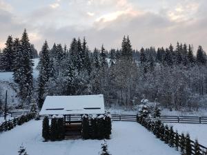 Vila Irina en invierno
