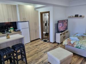 Cet appartement comprend une chambre avec un lit et une cuisine avec un comptoir. dans l'établissement Mavrov02 Residence, à Mavrovo