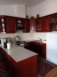 cocina con armarios de madera y nevera blanca en Apartments Raos en Stobreč