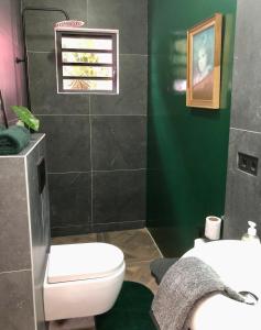 a bathroom with a toilet and a sink at THUISHAVEN boutique resort in Willemstad