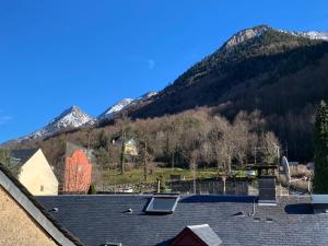 a view from the roof of a house with a mountain at Appart Chalet hyper centre in Cauterets