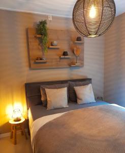 een slaapkamer met een bed en een hanglamp bij Secret Wellness Puur Natuur in Holten