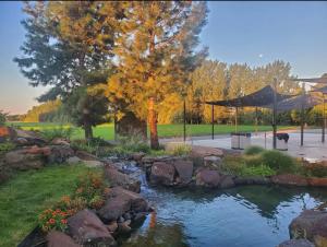 a garden with a pond with rocks and a tree at Lazy Bear Ranch in Weiser