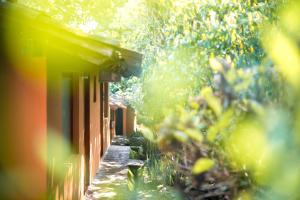 a path next to a house with trees at Hotel Taselotzin in Cuetzalán del Progreso