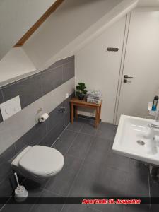 a bathroom with a toilet and a sink at Apartmány Na Cestě in Desná