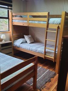 a bedroom with two bunk beds with a ladder at Cabaña Nothofagus PUQ in Punta Arenas