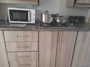 um micro-ondas sentado em cima de um balcão de cozinha em The Rose Guesthouse em Witbank