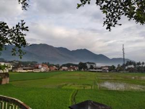a field of rice with mountains in the background at Villa Adinda Syariah D6 in Tarogong