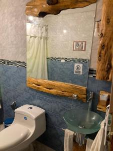 a bathroom with a toilet and a glass sink at Cabaña En Lago colbun, sector Pasó Nevado in Talca
