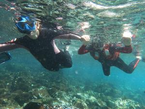 two people are swimming in the water at The Island Home in Puerto Ayora