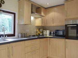 Cenarth的住宿－Owls About - Uk6756，厨房配有木制橱柜、水槽和窗户。