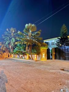 een groep palmbomen voor een gebouw bij GHouse in Adentan