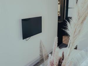 een flatscreen-tv aan een muur in een woonkamer bij Suite Opium in Lyon