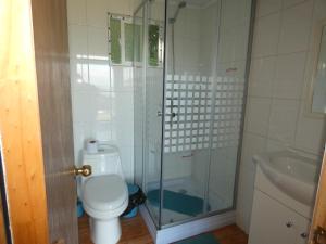La salle de bains est pourvue de toilettes, d'une douche et d'un lavabo. dans l'établissement Cabaña de campo con vista al mar, à Ancud