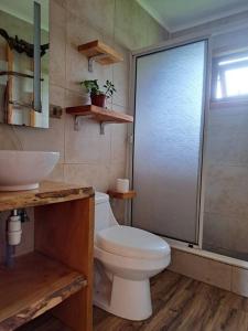 La salle de bains est pourvue de toilettes, d'un lavabo et d'une douche. dans l'établissement Cabaña entre cerros y ríos, à Coyhaique