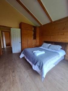 - une chambre avec un grand lit dans l'établissement Cabaña entre cerros y ríos, à Coyhaique