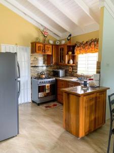 a kitchen with a stove and a refrigerator at Cozy Villa in Mammee Bay